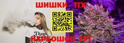 МДПВ Камышлов